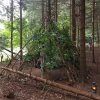 20180813_180505